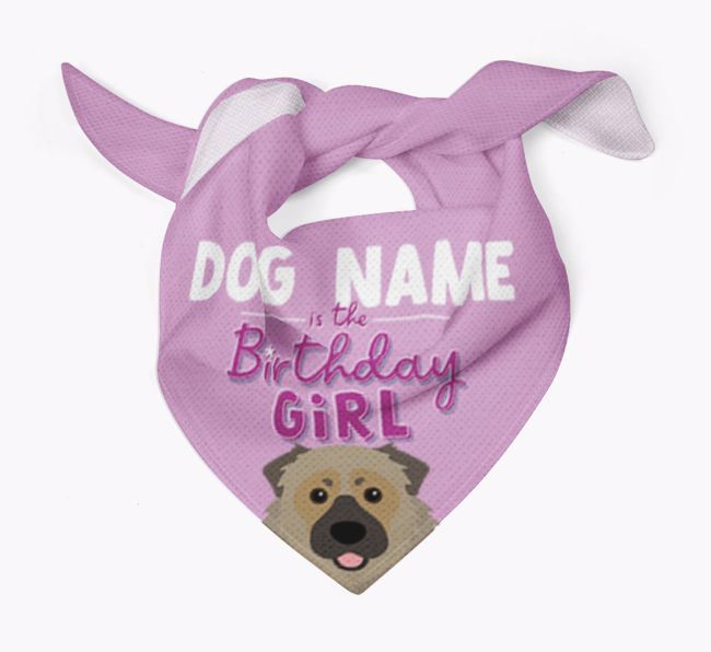 Birthday Girl: Personalized {breedFullName} Bandana